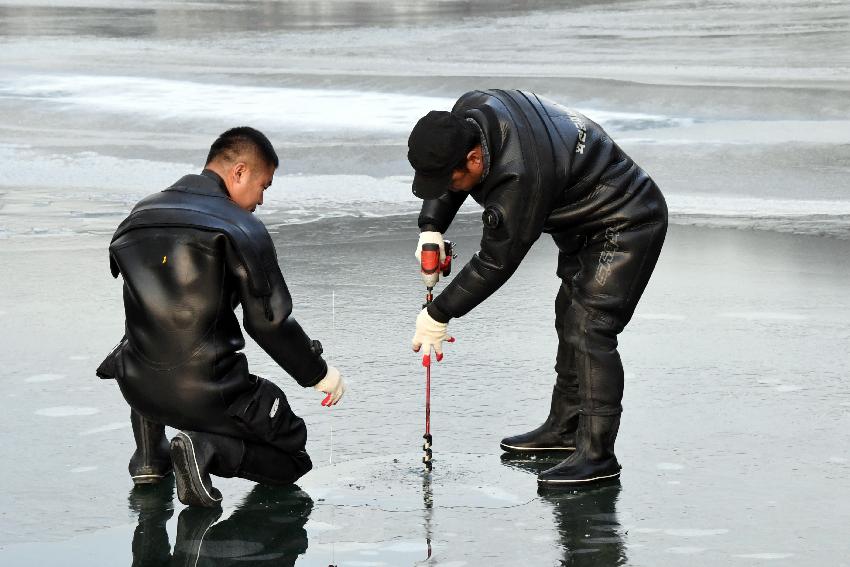 2016 화천산천어축제장 현장 점검 의 사진