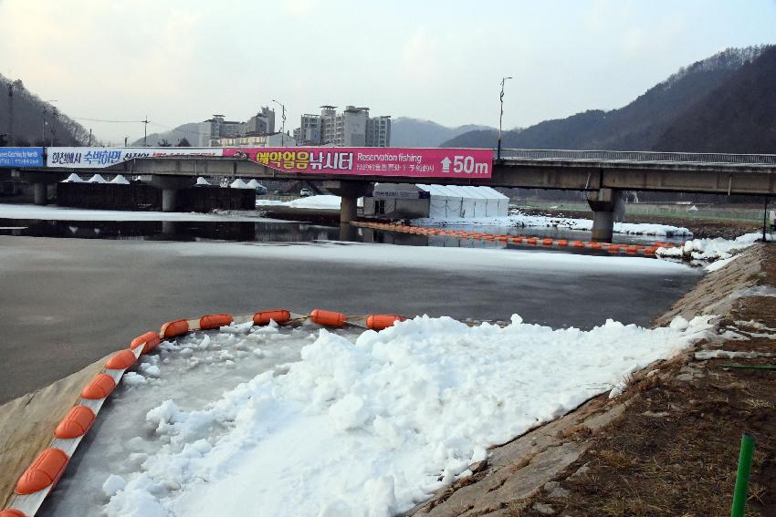 2017 화천산천어축제장 전경 의 사진