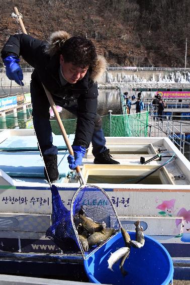 2017 화천산천어축제 수상낚시 시연 및 얼음 수중 점검 의 사진