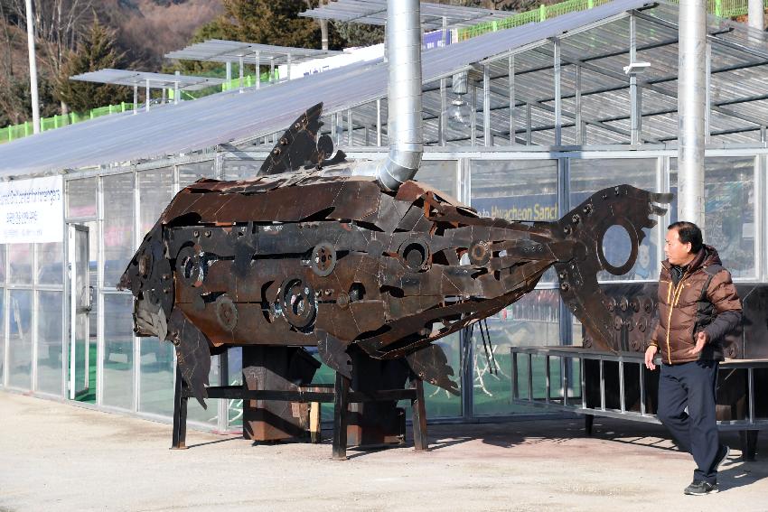 2017 화천산천어축제 수상낚시 시연 및 얼음 수중 점검 의 사진