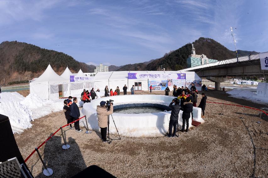 2017 화천산천어축제 맨손잡기장 전경 의 사진