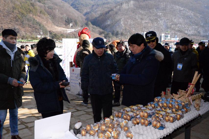 2017 육군 제15보병사단 군부대의 날 행사  의 사진