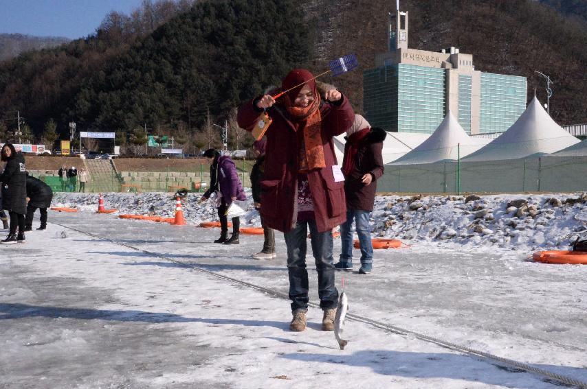 2017 육군 제15보병사단 군부대의 날 행사  의 사진