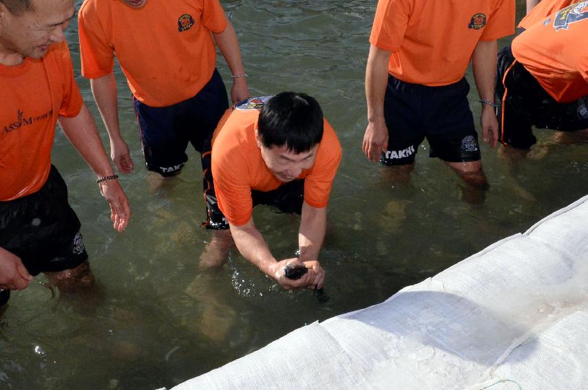 2017 육군 제15보병사단 군부대의 날 행사  의 사진