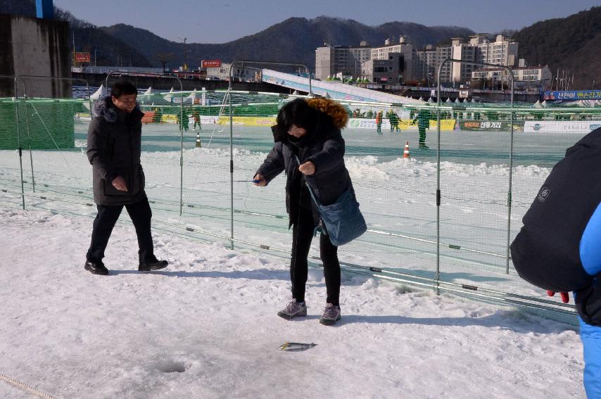 2017 육군 제27보병사단 군부대의 날 행사 의 사진