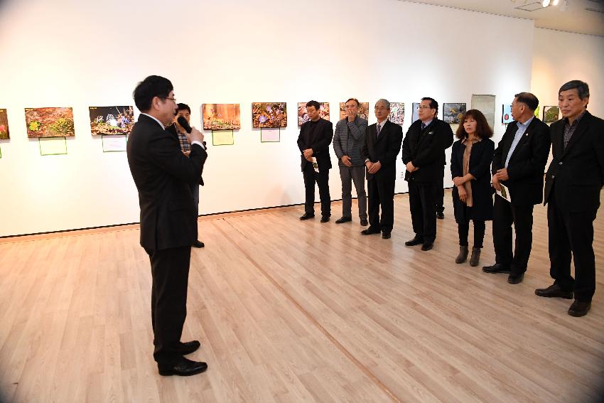 2017 화천갤러리 야생화 사진 전시회 의 사진