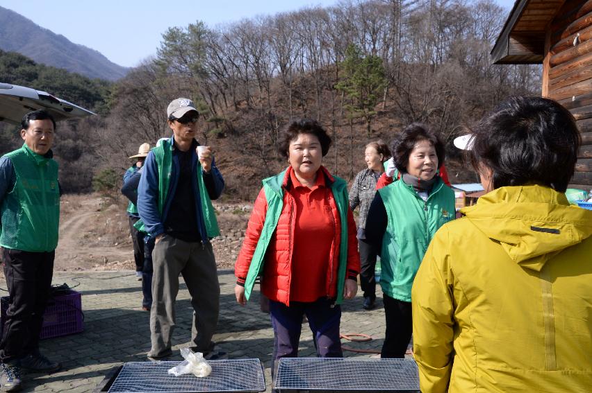 2017 제72회 식목일 의 사진