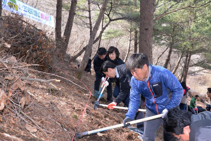 2017 제72회 식목일 의 사진