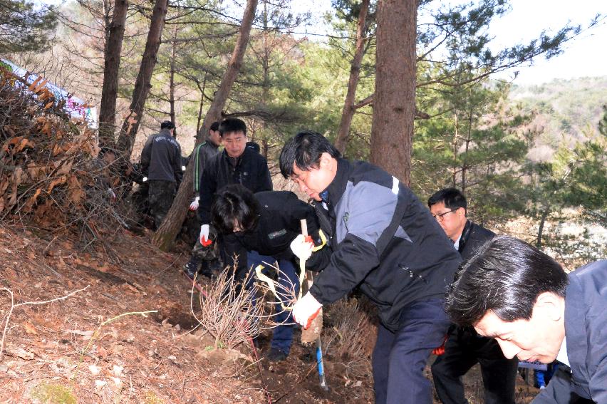 2017 제72회 식목일 의 사진