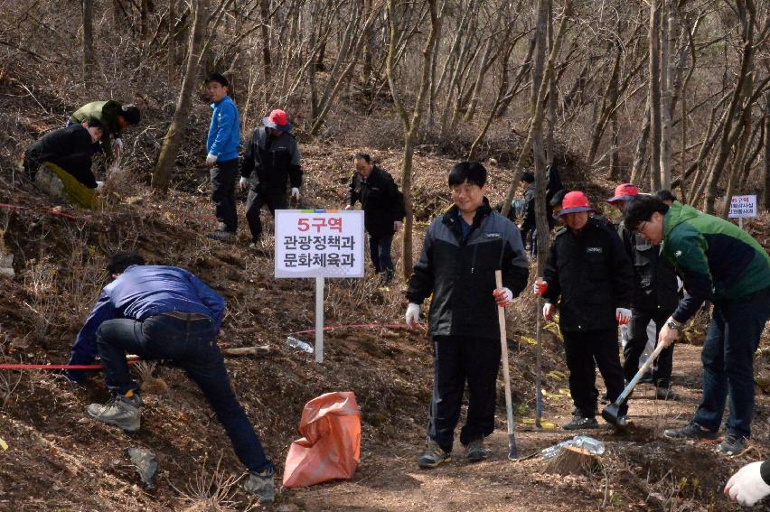 2017 제72회 식목일 의 사진