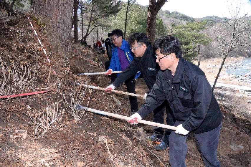 2017 제72회 식목일 의 사진