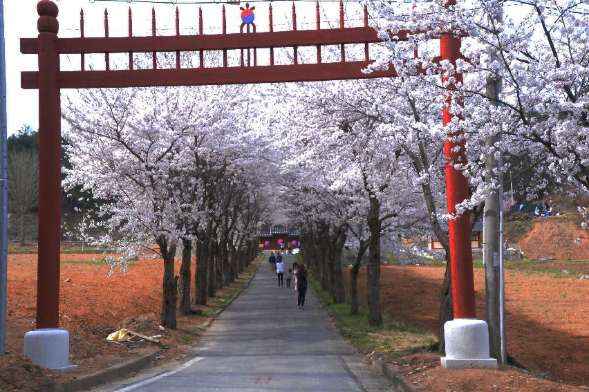 2017 화천풍경 의 사진