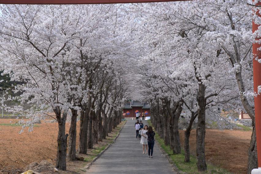 2017 화천풍경 의 사진