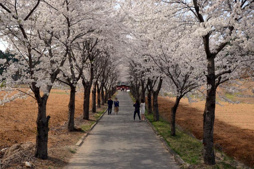 2017 화천풍경 의 사진