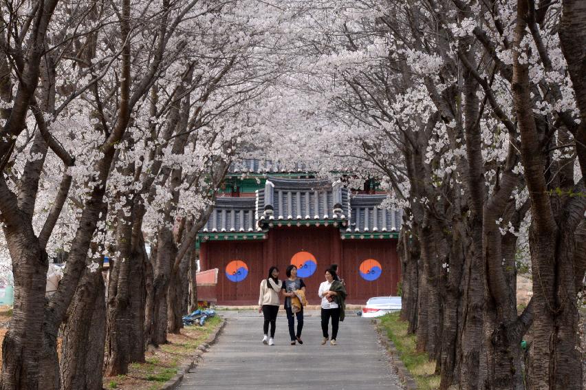 2017 화천풍경 의 사진