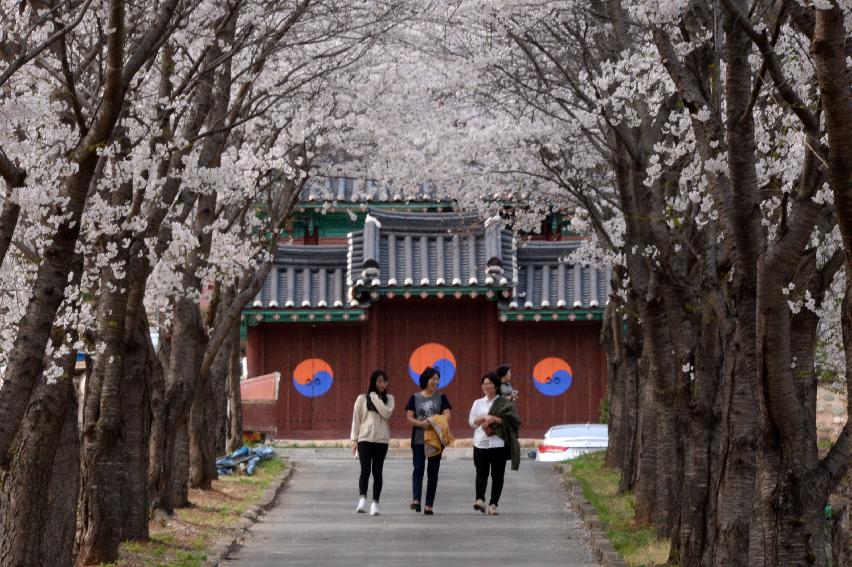 2017 화천풍경 의 사진