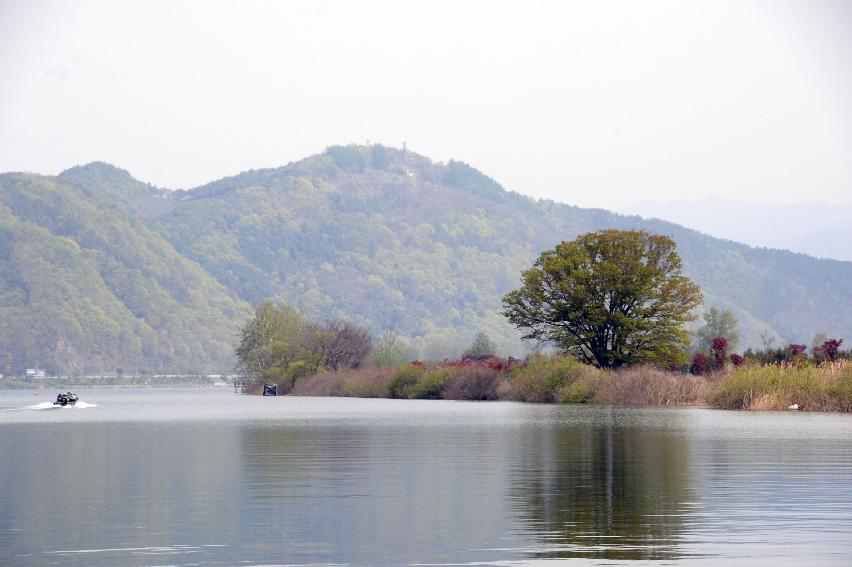 2017 화천군 하남면 거레리 수변공원 사랑나무 전경 의 사진