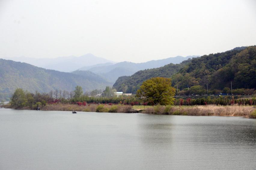 2017 화천군 하남면 거레리 수변공원 사랑나무 전경 의 사진