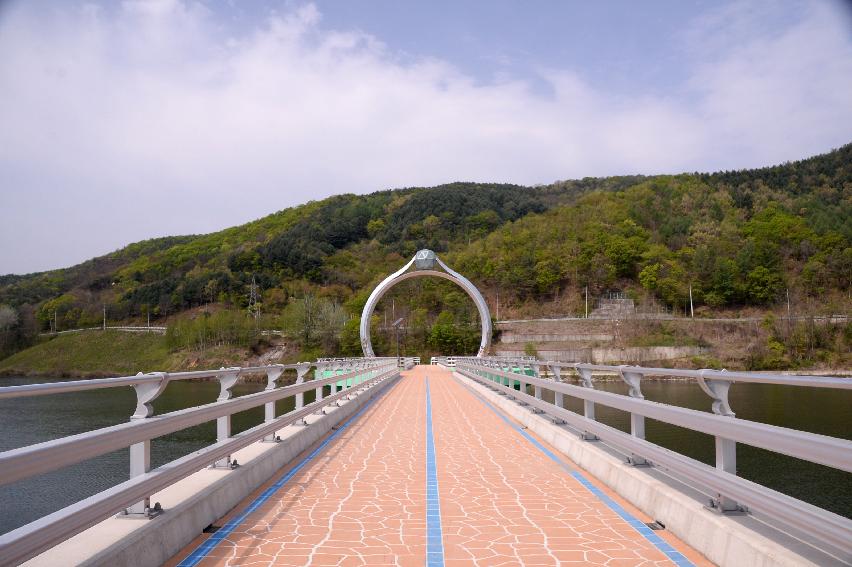 2017 화천군 하남면 거레리 수변공원 사랑나무 전경 의 사진