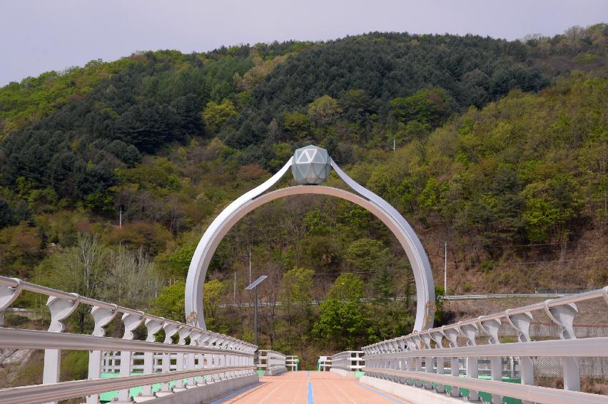 2017 화천군 하남면 거레리 수변공원 사랑나무 전경 의 사진