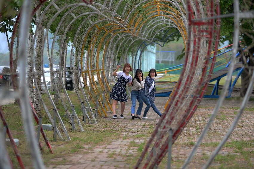 2017 사진 찍기 좋은 화천군 편 (붕어섬)  의 사진