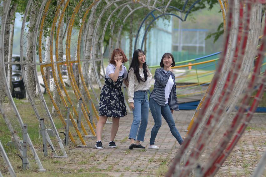 2017 사진 찍기 좋은 화천군 편 (붕어섬)  의 사진