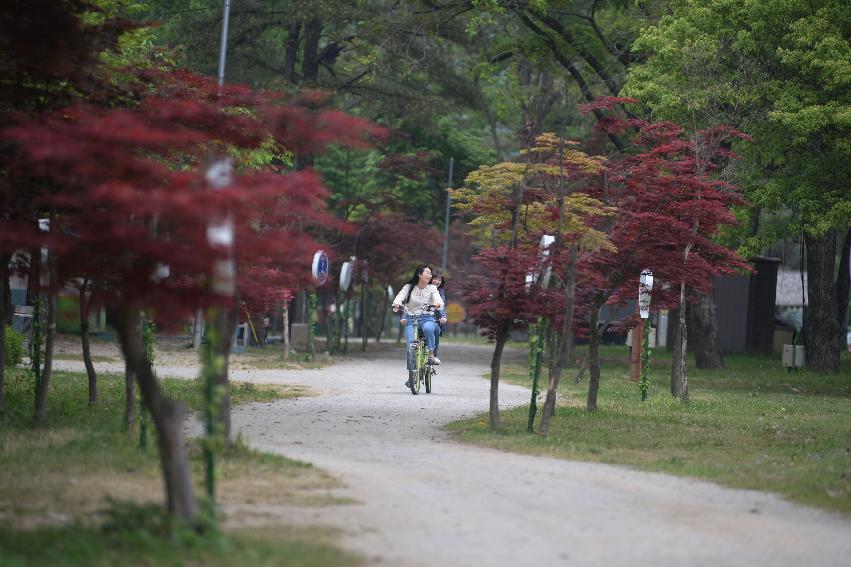 2017 사진 찍기 좋은 화천군 편 (붕어섬)  의 사진