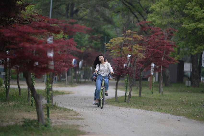 2017 사진 찍기 좋은 화천군 편 (붕어섬)  의 사진