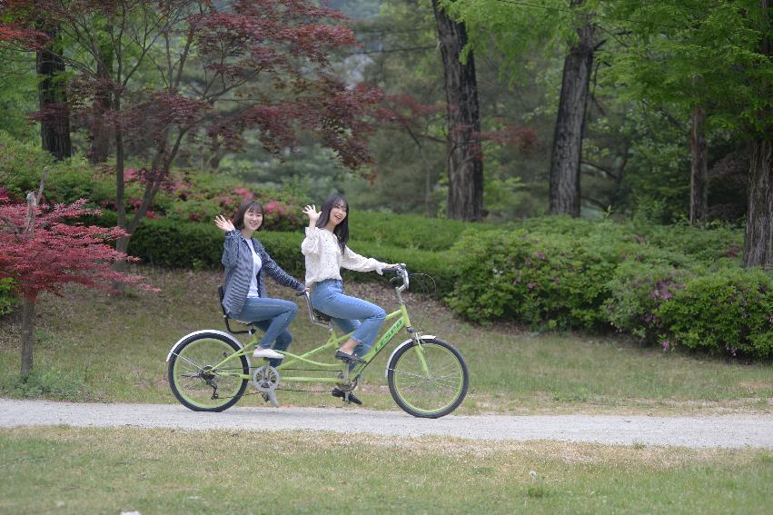 2017 사진 찍기 좋은 화천군 편 (붕어섬)  의 사진