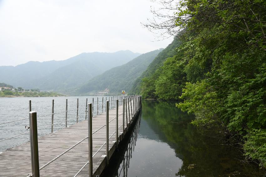 2017 화천산소길 및 평화의 댐 전경 (한국관광공사 투어) 의 사진