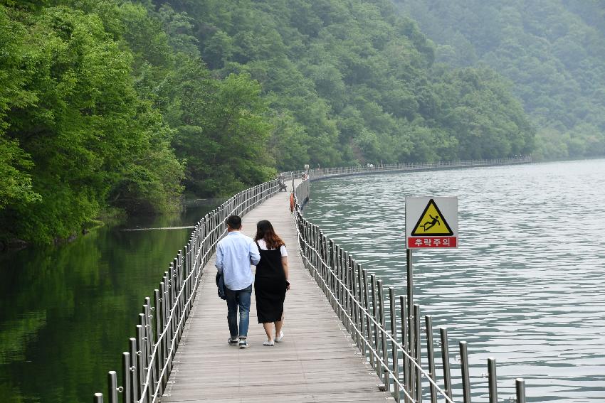 2017 화천산소길 및 평화의 댐 전경 (한국관광공사 투어) 의 사진