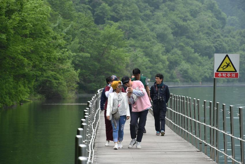 2017 화천산소길 및 평화의 댐 전경 (한국관광공사 투어) 의 사진