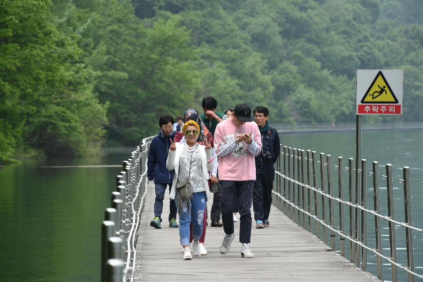 2017 화천산소길 및 평화의 댐 전경 (한국관광공사 투어) 의 사진