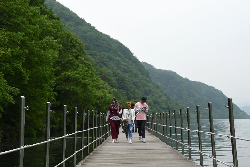 2017 화천산소길 및 평화의 댐 전경 (한국관광공사 투어) 의 사진