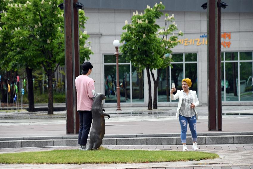 2017 화천산소길 및 평화의 댐 전경 (한국관광공사 투어) 의 사진