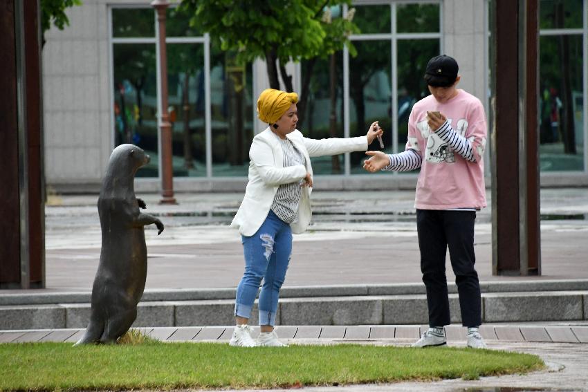 2017 화천산소길 및 평화의 댐 전경 (한국관광공사 투어) 의 사진