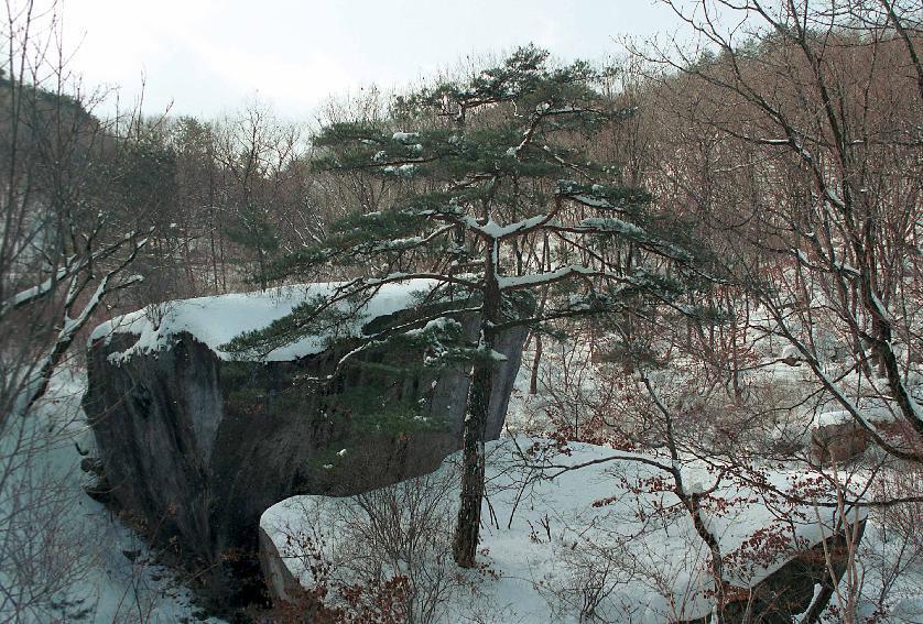 용화산 의 사진