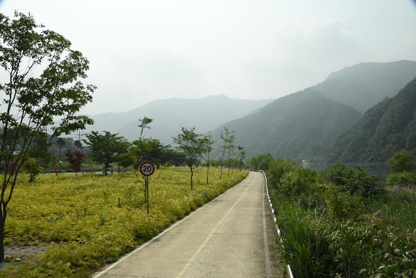 2017 북한강변 공원 논개승마 재배단지 전경 의 사진