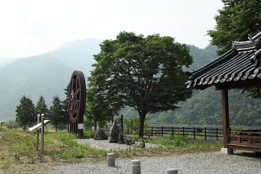 2017 북한강변 공원 논개승마 재배단지 전경 의 사진