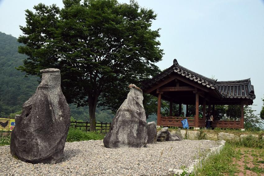 2017 북한강변 공원 논개승마 재배단지 전경 의 사진