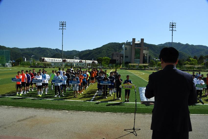 2017 제20회 화천군협회장기 축구대회 의 사진