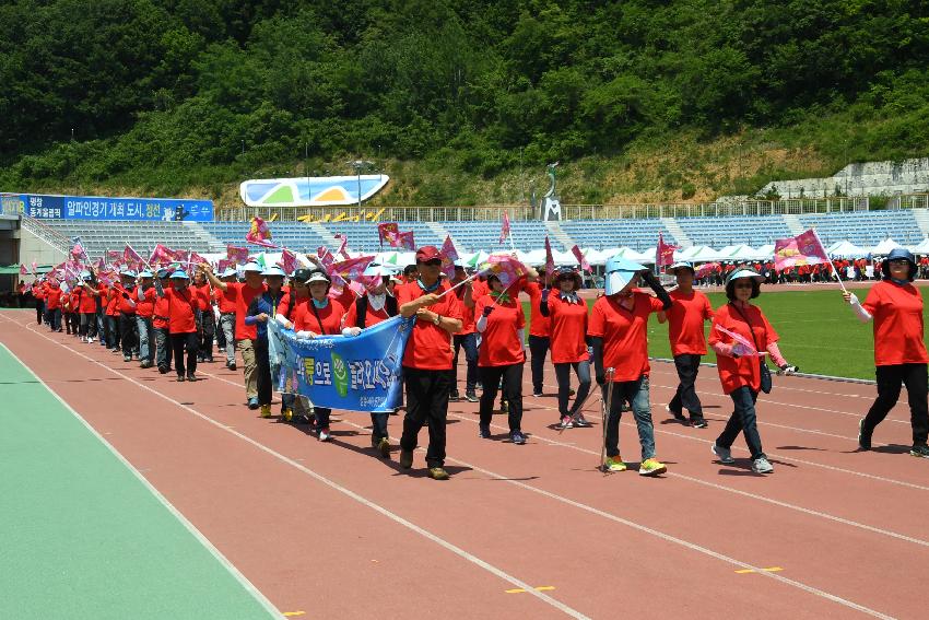 2017 강원도 이통장 한마음 체육대회 의 사진