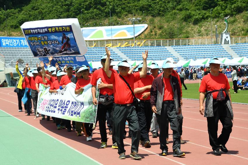 2017 강원도 이통장 한마음 체육대회 의 사진