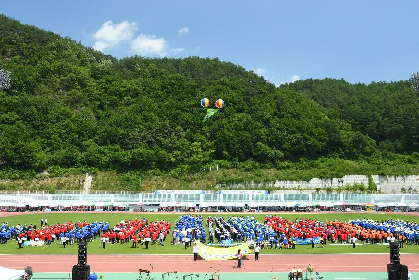 2017 강원도 이통장 한마음 체육대회 의 사진