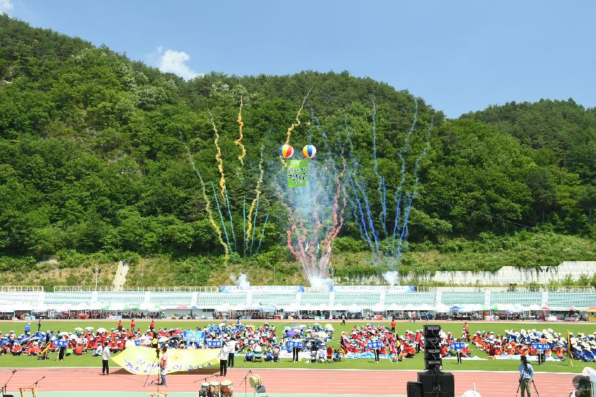 2017 강원도 이통장 한마음 체육대회 의 사진