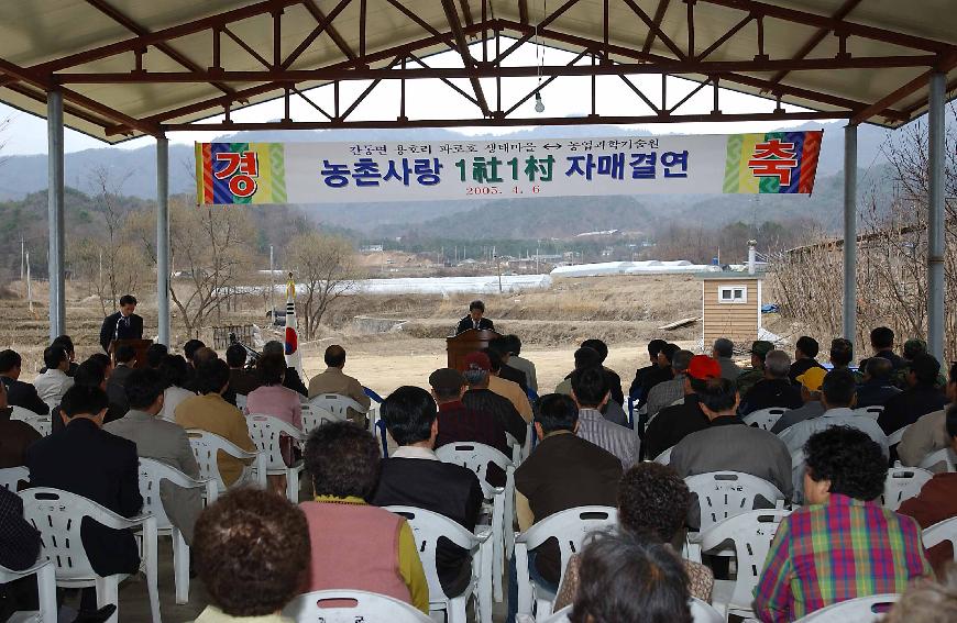 자매결연 의 사진