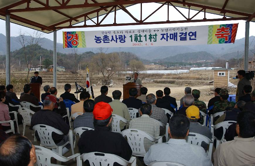 자매결연 의 사진