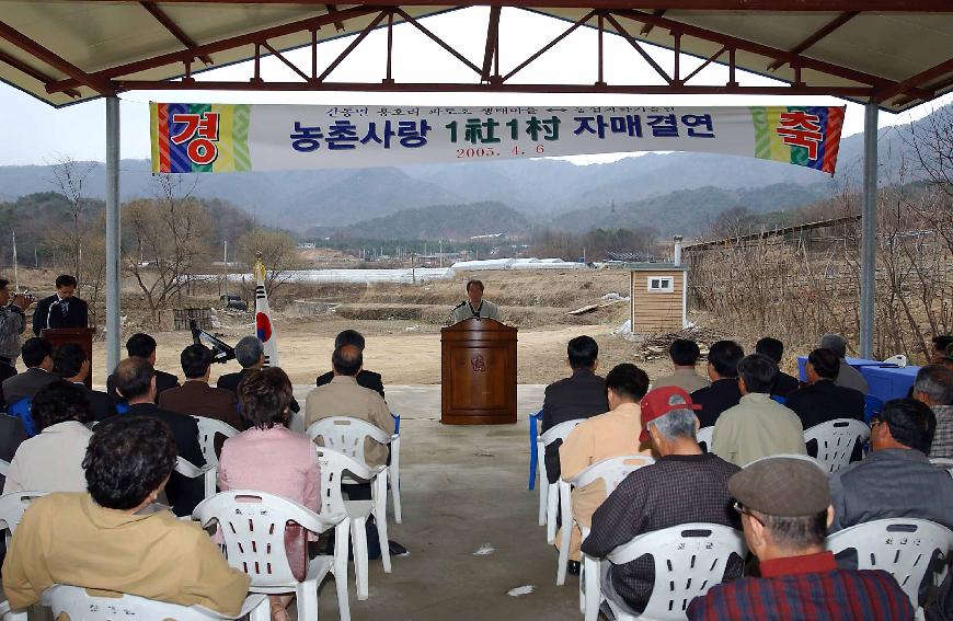 자매결연 의 사진