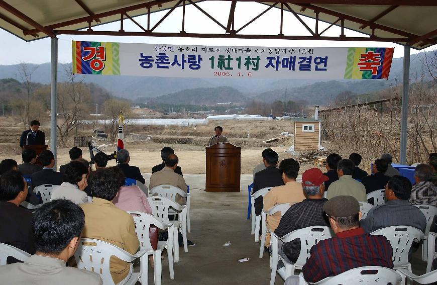 자매결연 의 사진