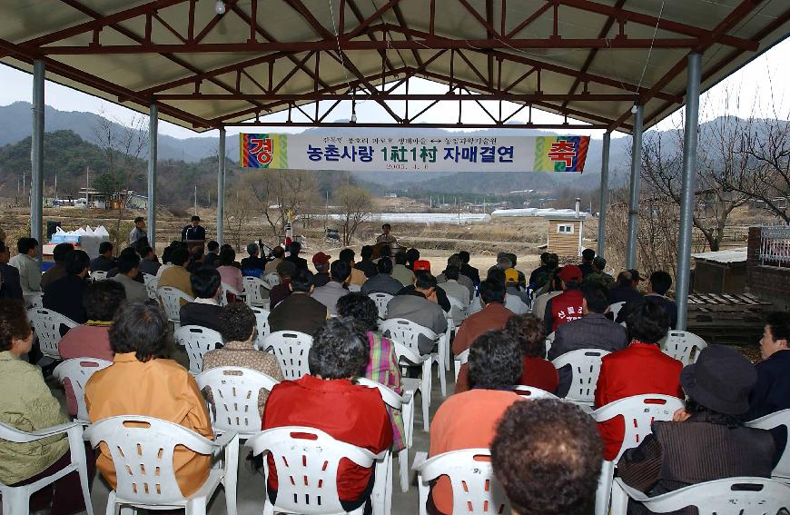 자매결연 의 사진